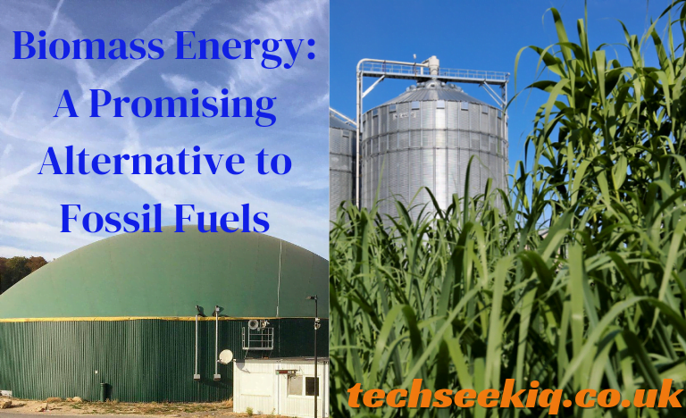 Biomass Energy: A Promising Alternative to Fossil Fuels 5